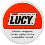 Lucy Pouches Cinnamon 8mg 